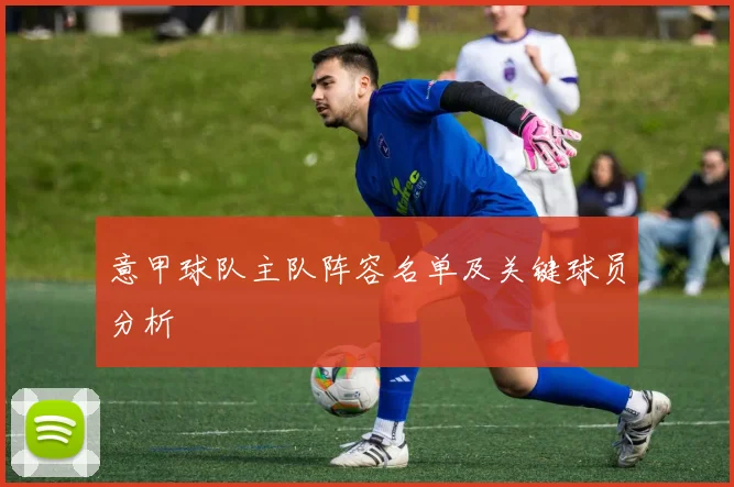 意甲球队主队阵容名单及关键球员分析