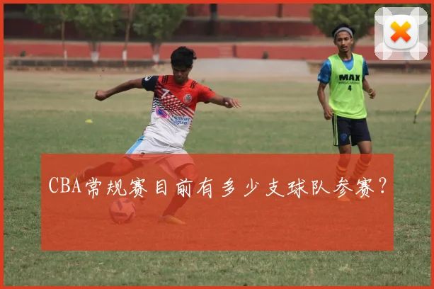CBA常规赛目前有多少支球队参赛?