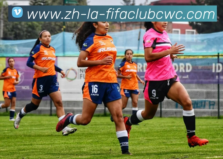 世界杯平台全站App 世界杯平台全站App