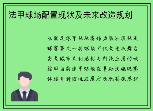 法甲球场配置现状及未来改造规划