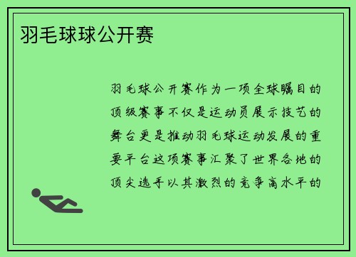 羽毛球球公开赛