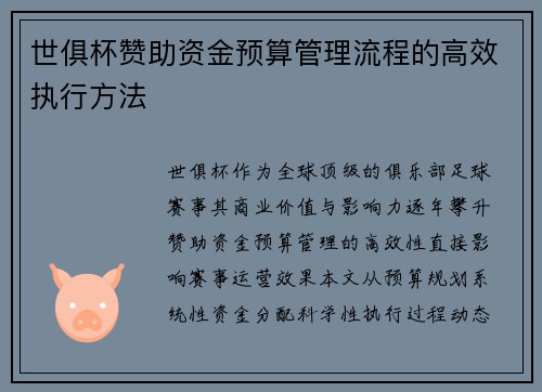 世俱杯赞助资金预算管理流程的高效执行方法