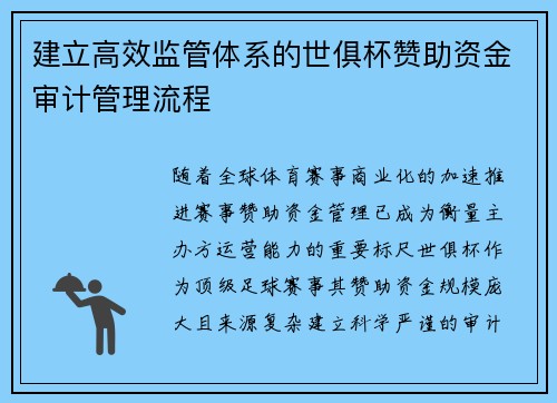 建立高效监管体系的世俱杯赞助资金审计管理流程